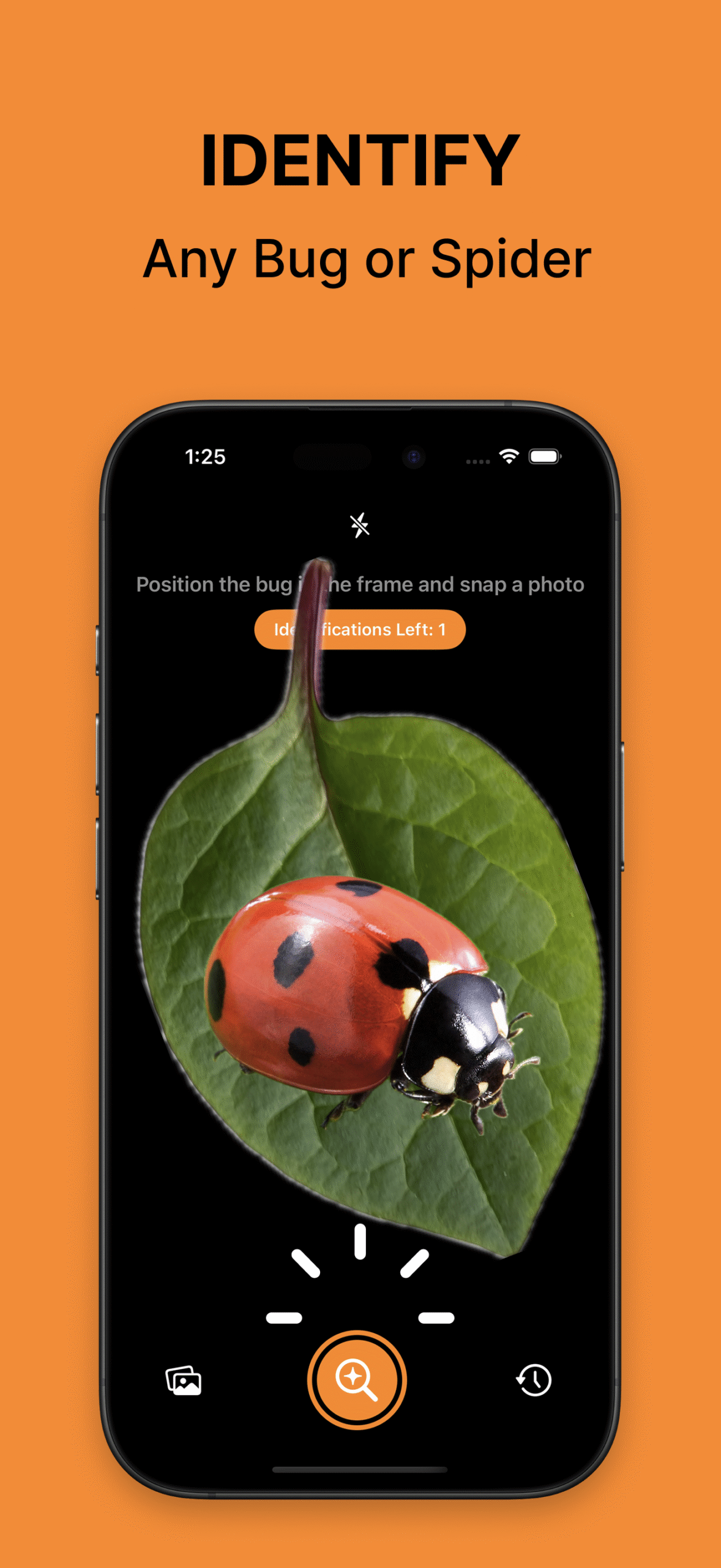 BugClip