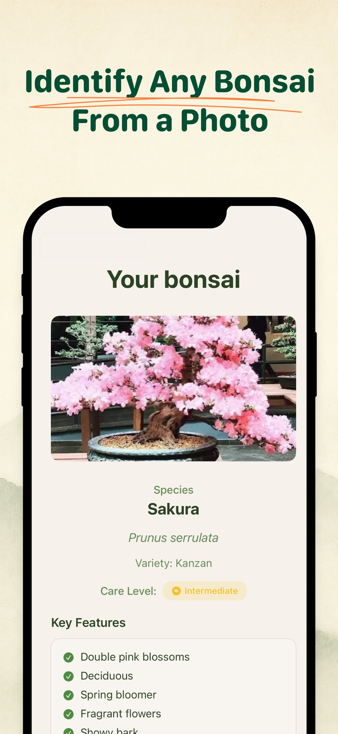 Bonsai Buddy