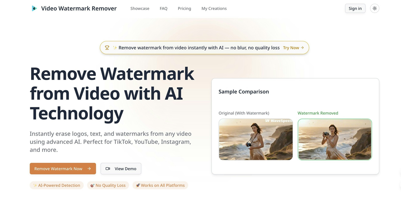 AI Video Watermark Remover