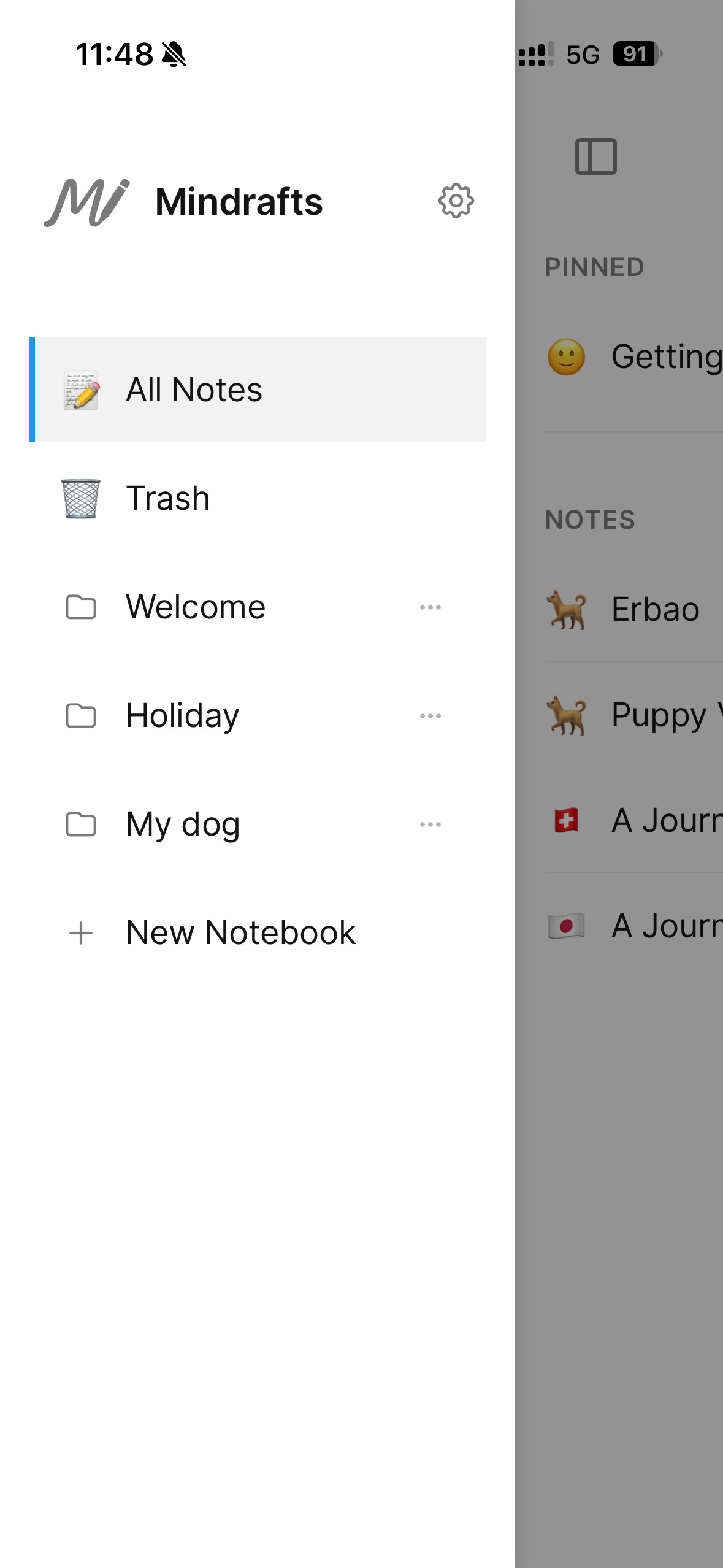 Mindrafts – Local AI notes