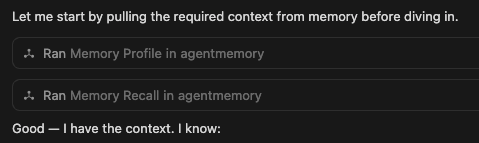 Persistent memory for AI agents