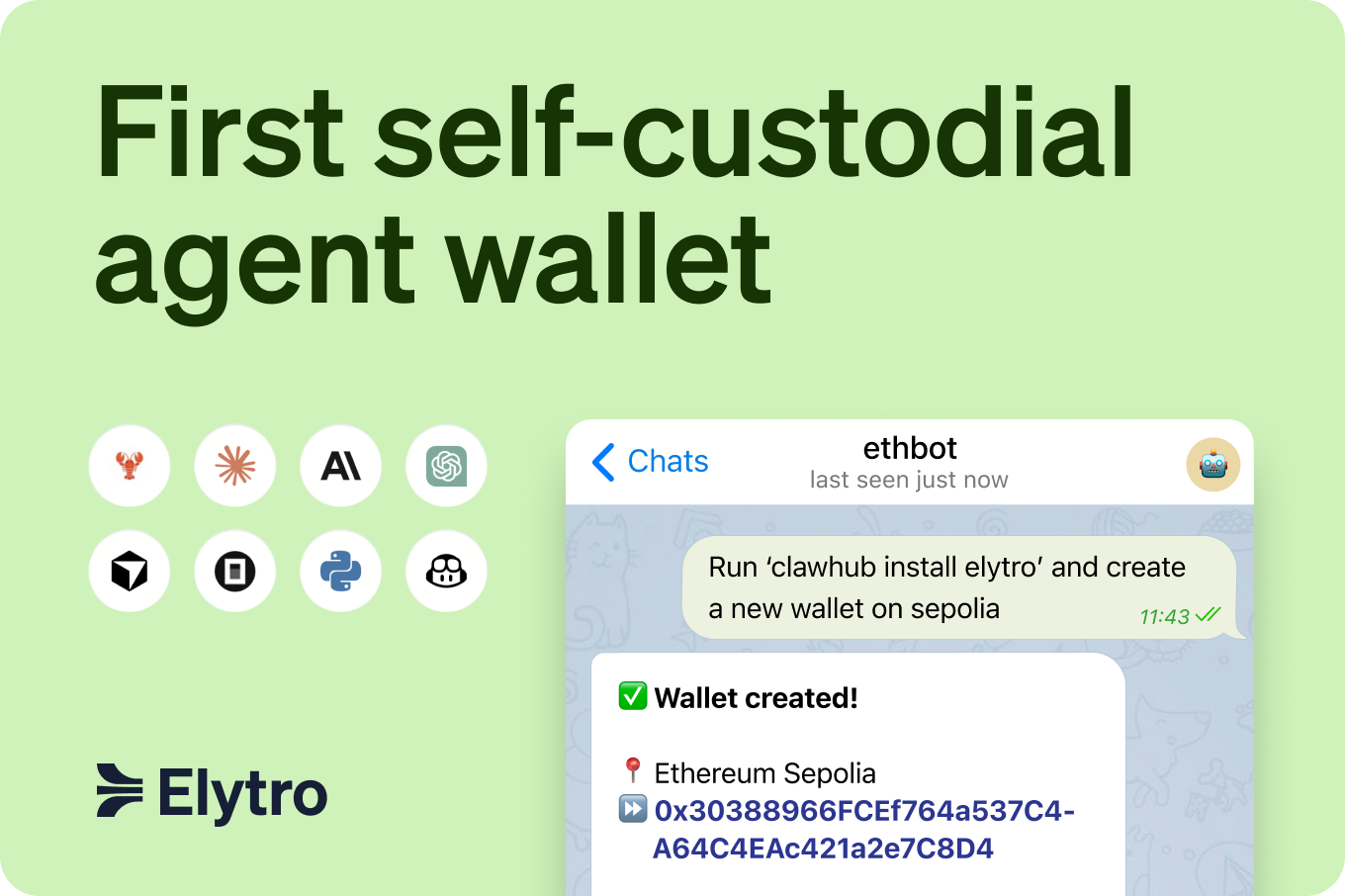 Elytro Agent Wallet