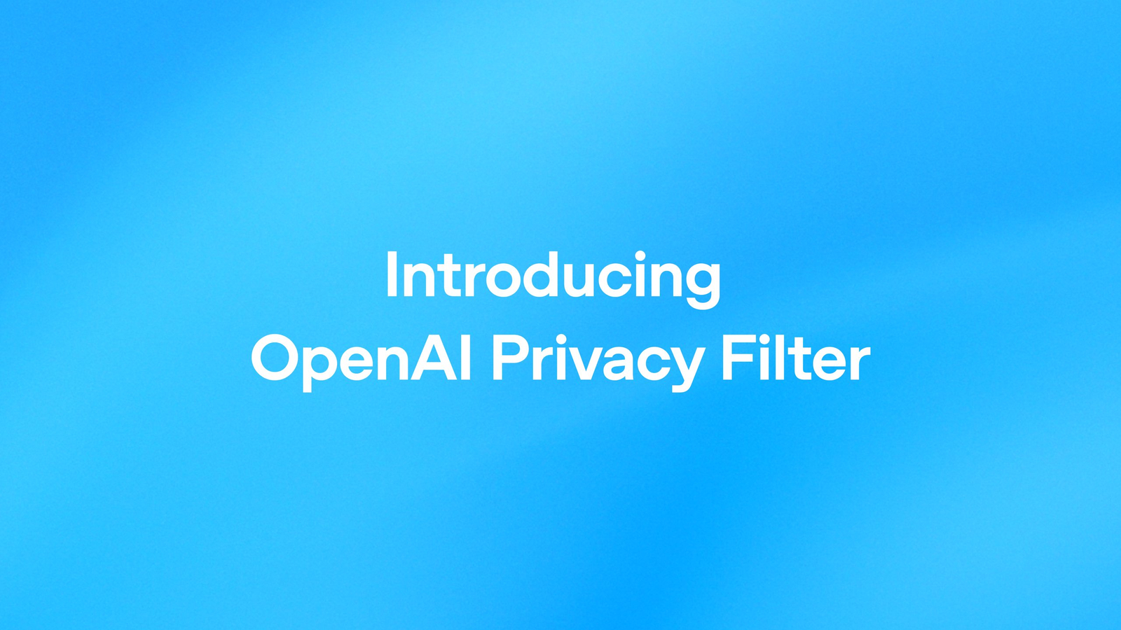 OpenAI Privacy Filter