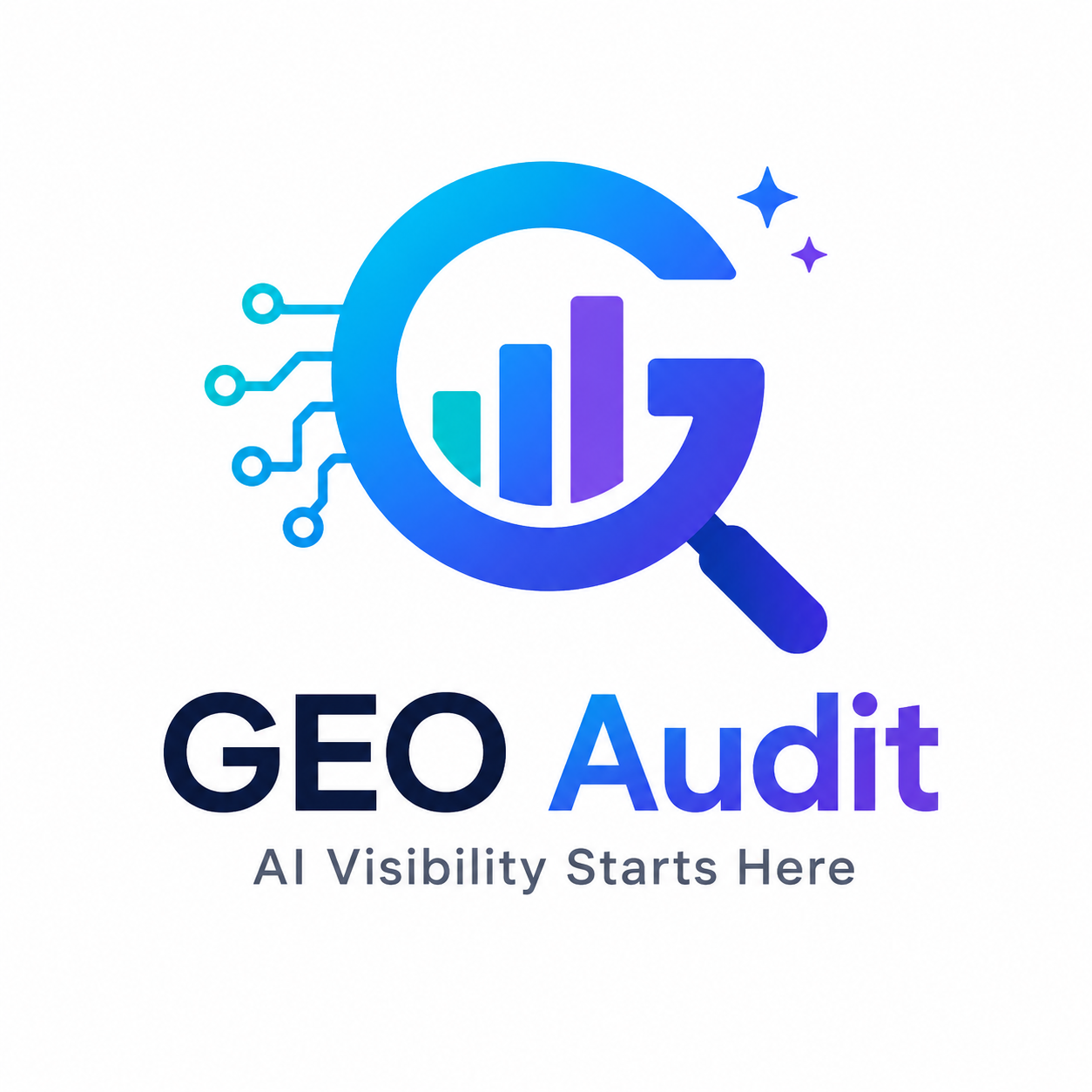 GEO Audit