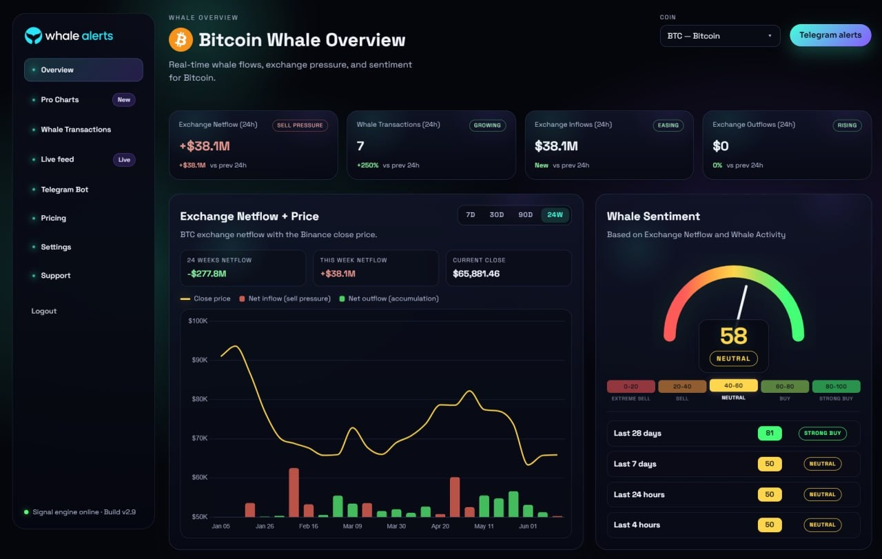 Whale Alerts