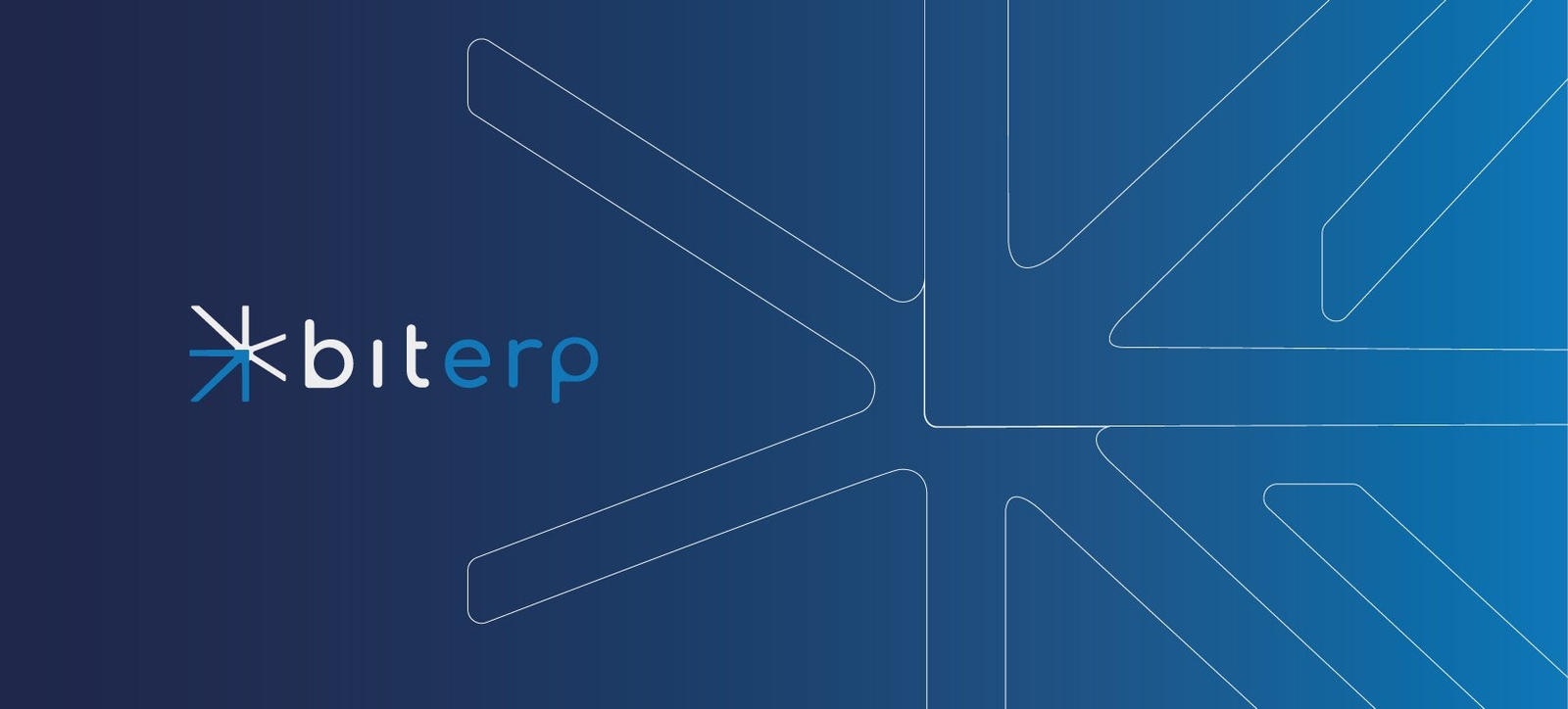 bitERP